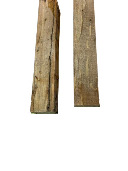 Spalted Tamarind
